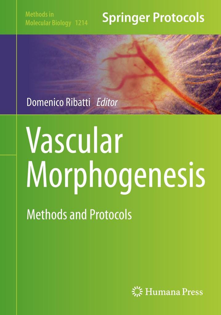 Produktbild: Vascular Morphogenesis