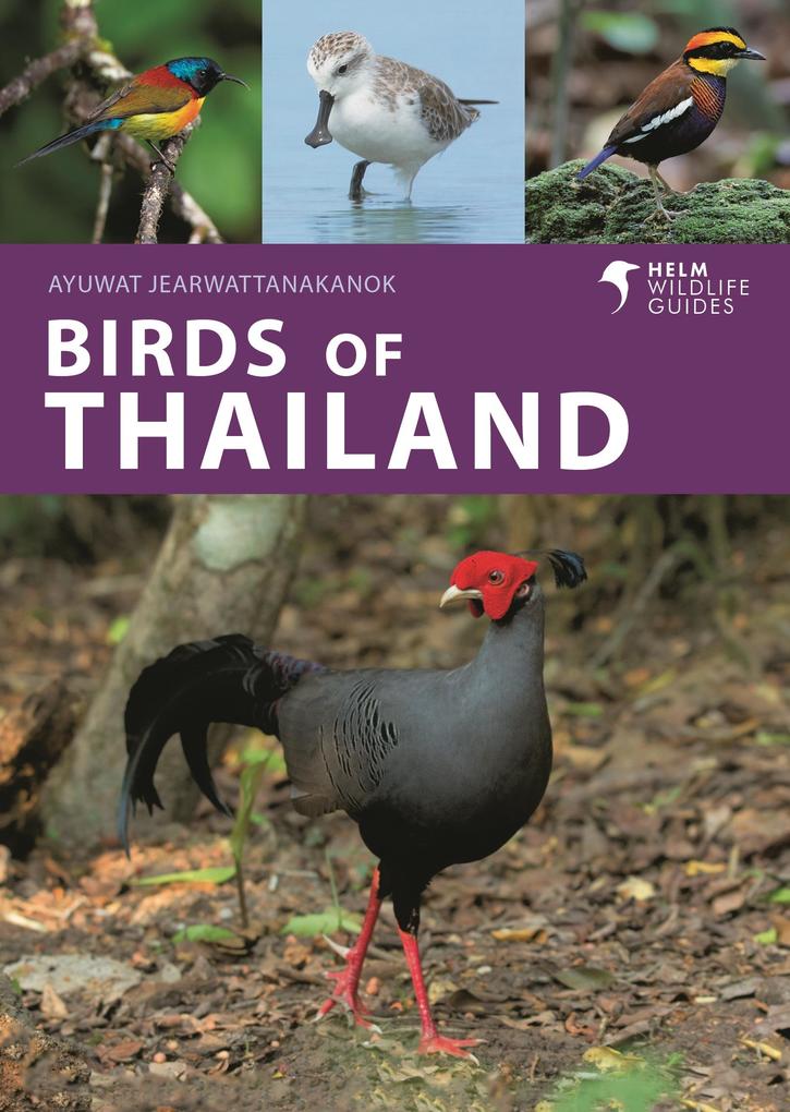 Produktbild: Birds of Thailand | Ayuwat Jearwattanakanok