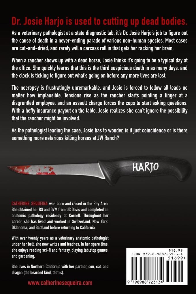 Weitere Ansicht: If You Hear Hoofbeats | Catherine Sequeira