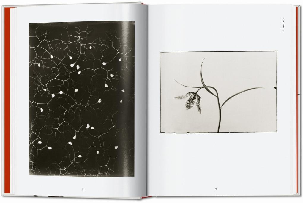 Weitere Ansicht: Karl Blossfeldt. The Complete Published Work. 45th Ed. | Hans Christian Adam