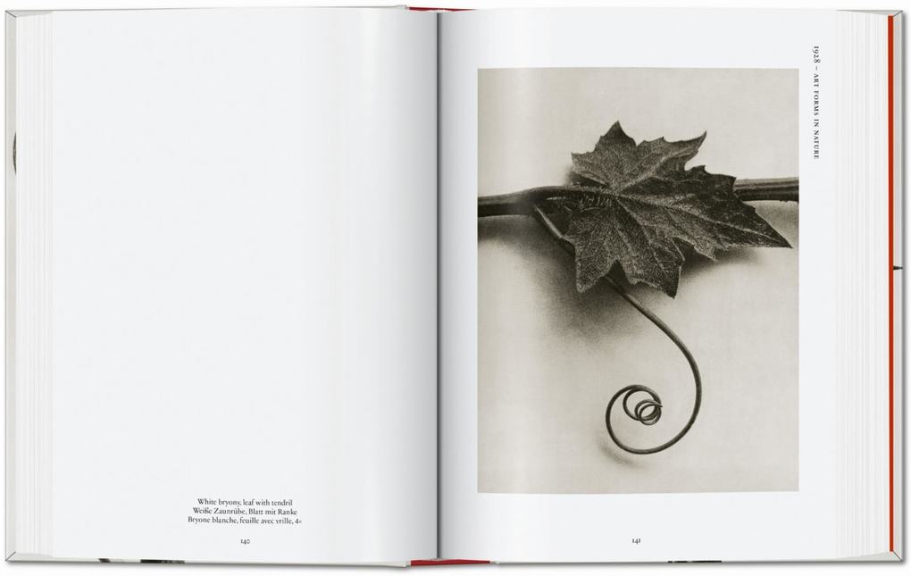 Weitere Ansicht: Karl Blossfeldt. The Complete Published Work. 45th Ed. | Hans Christian Adam