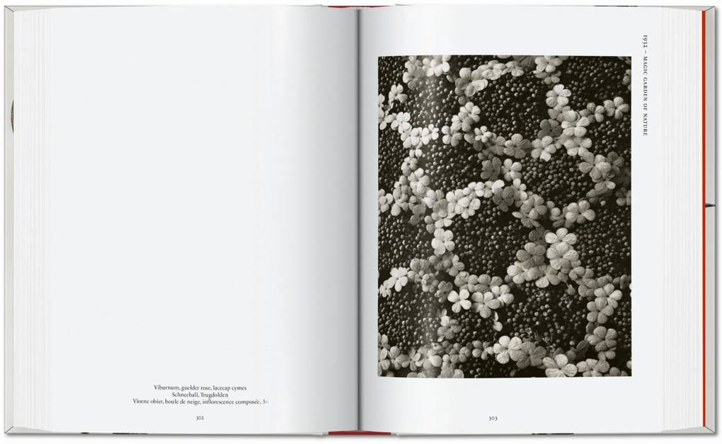 Weitere Ansicht: Karl Blossfeldt. The Complete Published Work. 45th Ed. | Hans Christian Adam