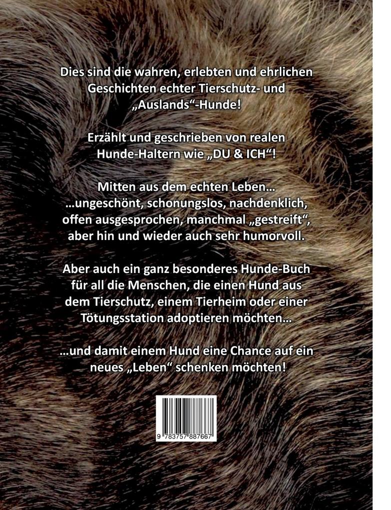 Weitere Ansicht: Verlorene Hunde | Stefan Klink