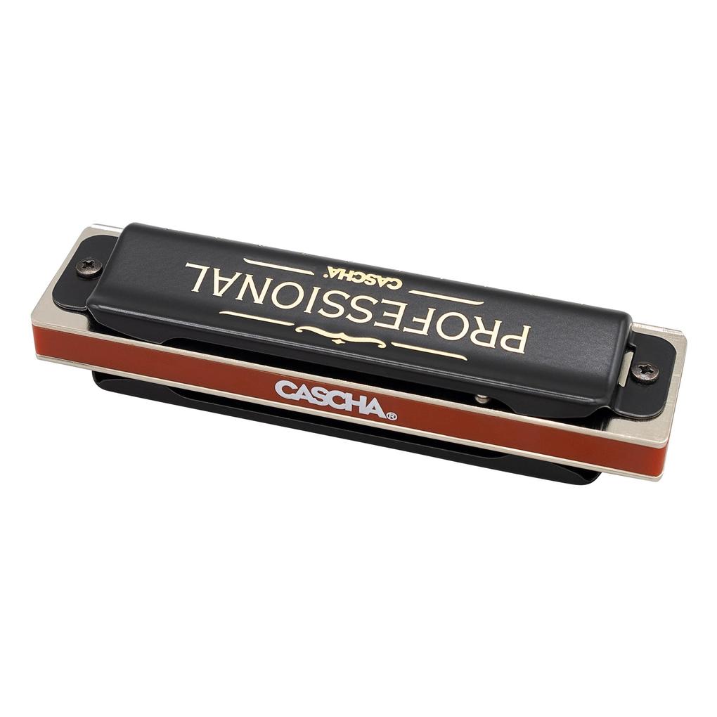 Weitere Ansicht: Professional Blues Harmonica in C (incl. case and cleaning cloth)