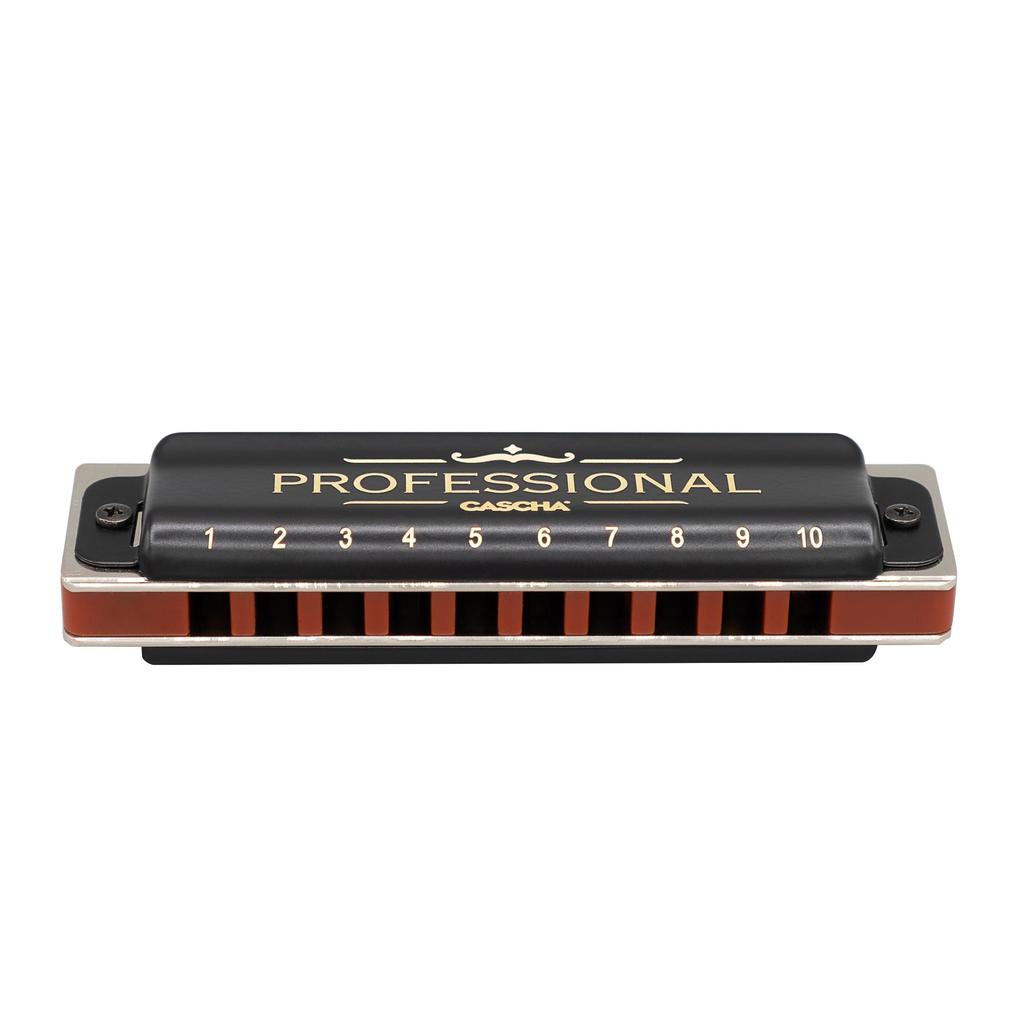 Weitere Ansicht: Professional Blues Harmonica in C (incl. case and cleaning cloth)