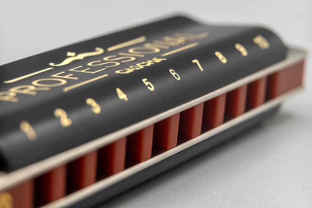 Weitere Ansicht: Professional Blues Harmonica in C (incl. case and cleaning cloth)