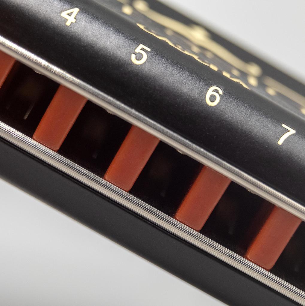 Weitere Ansicht: Professional Blues Harmonica in C (incl. case and cleaning cloth)