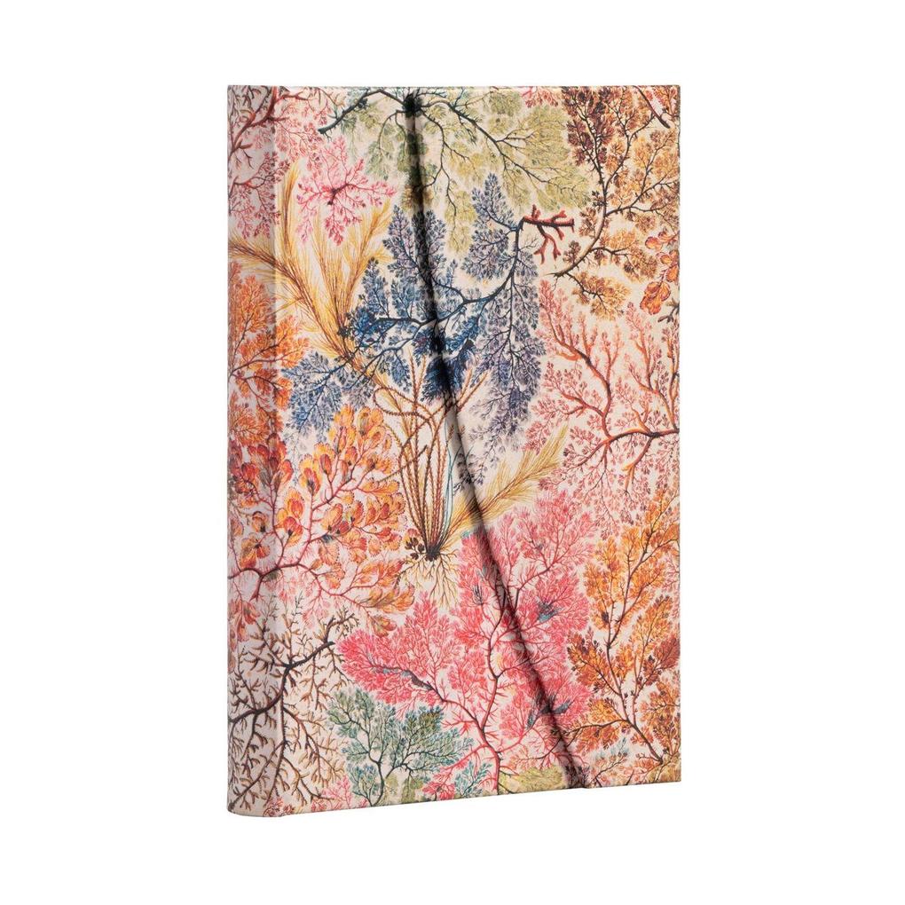 Produktbild: Anemone Mini Lined Hardcover Journal | Paperblanks