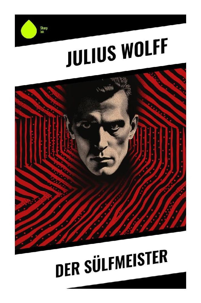 Produktbild: Der Sülfmeister | Julius Wolff