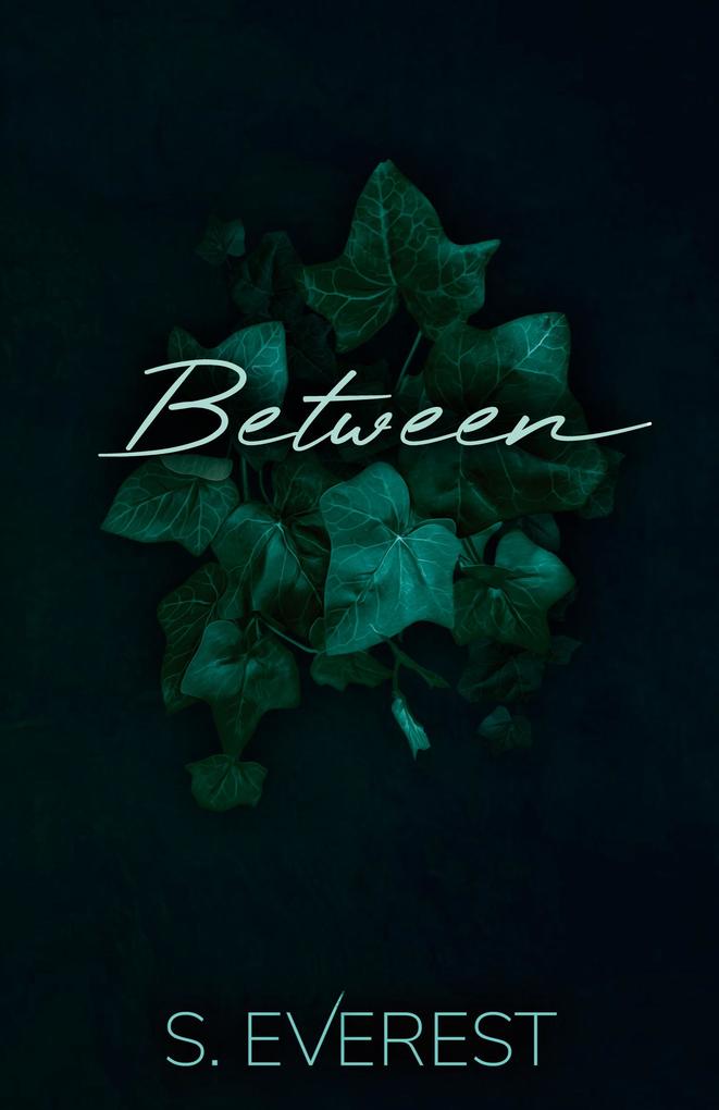 Produktbild: Between | S. Everest