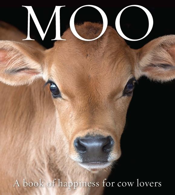 Produktbild: Moo | Angus St John Galloway