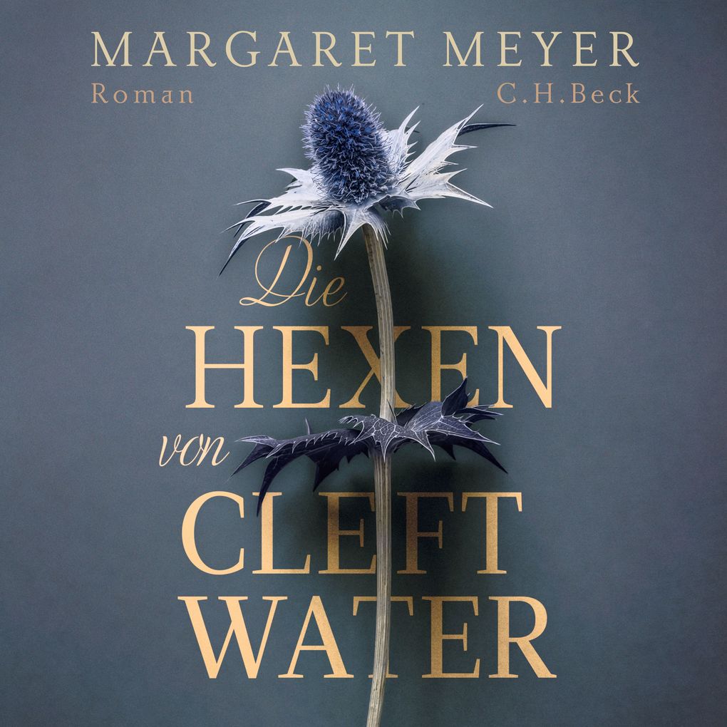 Produktbild: Die Hexen von Cleftwater | Margaret Meyer
