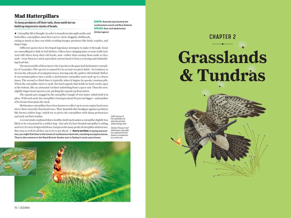 Weitere Ansicht: Atlas Obscura: Wild Life | Joshua Foer, Cara Giaimo, Atlas Obscura