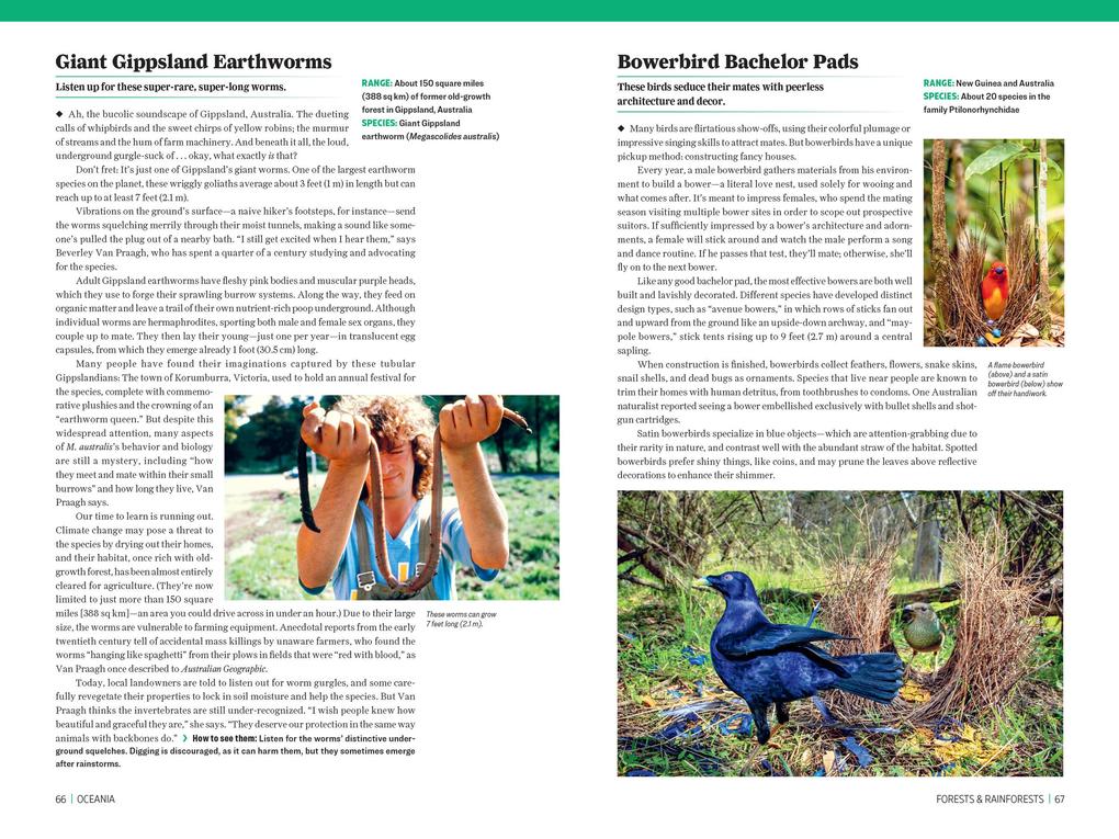 Weitere Ansicht: Atlas Obscura: Wild Life | Joshua Foer, Cara Giaimo, Atlas Obscura