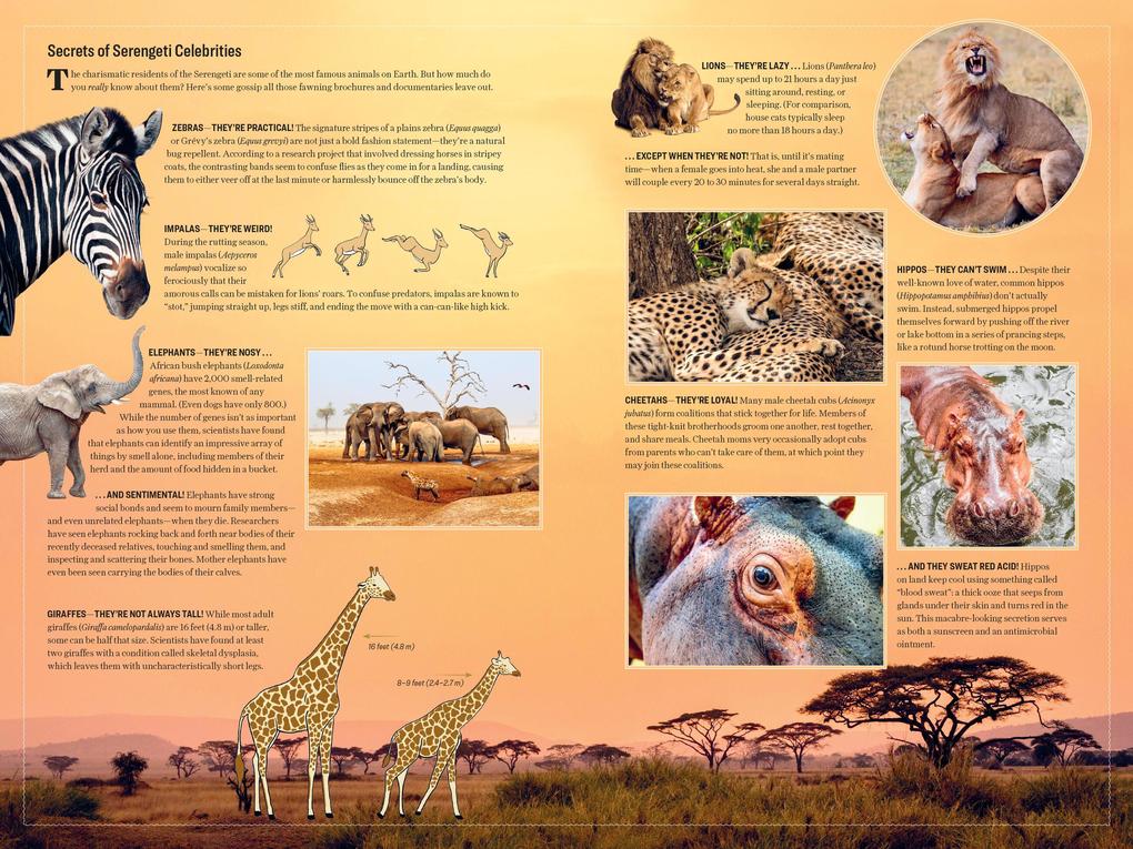 Weitere Ansicht: Atlas Obscura: Wild Life | Joshua Foer, Cara Giaimo, Atlas Obscura