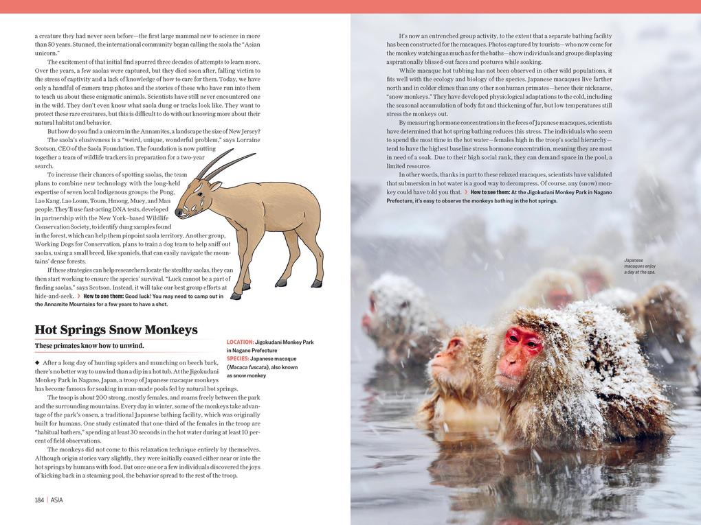 Weitere Ansicht: Atlas Obscura: Wild Life | Joshua Foer, Cara Giaimo, Atlas Obscura