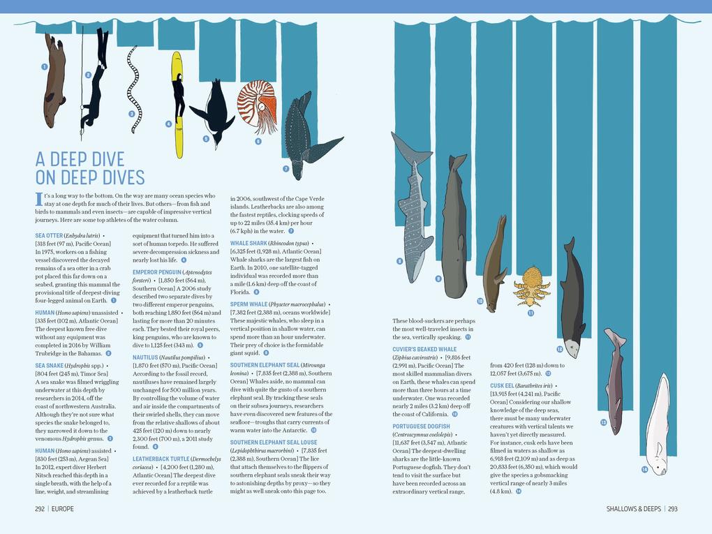 Weitere Ansicht: Atlas Obscura: Wild Life | Joshua Foer, Cara Giaimo, Atlas Obscura