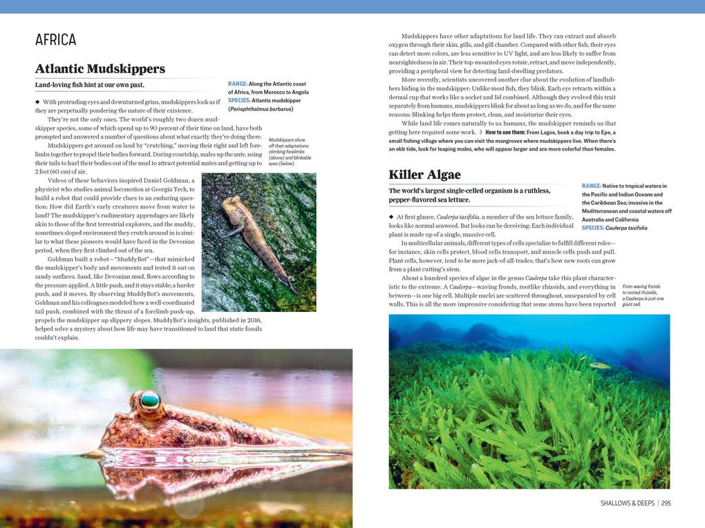 Weitere Ansicht: Atlas Obscura: Wild Life | Joshua Foer, Cara Giaimo, Atlas Obscura