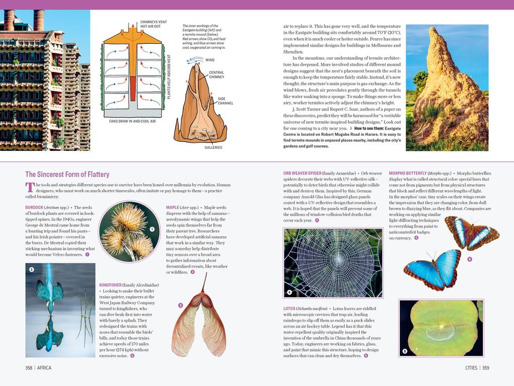 Weitere Ansicht: Atlas Obscura: Wild Life | Joshua Foer, Cara Giaimo, Atlas Obscura