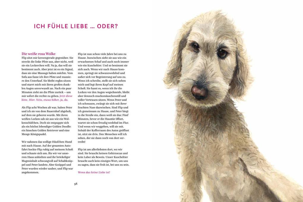 Weitere Ansicht: Die Gefühle der Tiere: Von eifersüchtigen Affen, ängstlichen Hunden und pfiffigen Ratten | Lotte Stegeman