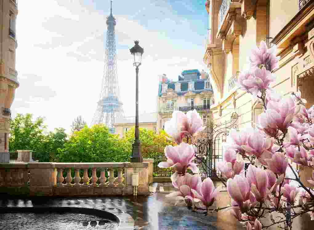 Weitere Ansicht: Erwachsenenpuzzle 500 Teile - Frühling in Paris