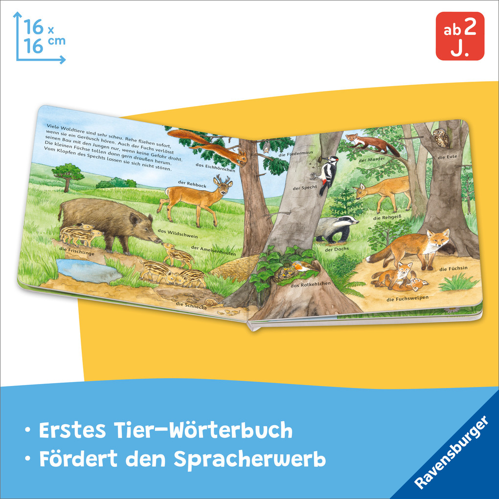 Weitere Ansicht: Mein Bilder-Wörterbuch: Unsere Tiere | Susanne Gernhäuser