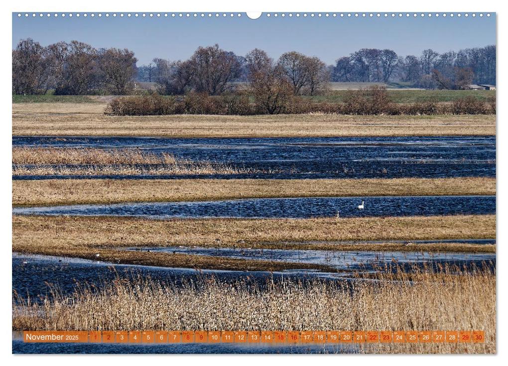 Weitere Ansicht: Flusslandschaft Elbe (hochwertiger Premium Wandkalender 2025 DIN A2 quer), Kunstdruck in Hochglanz | Markus Beck, Calvendo