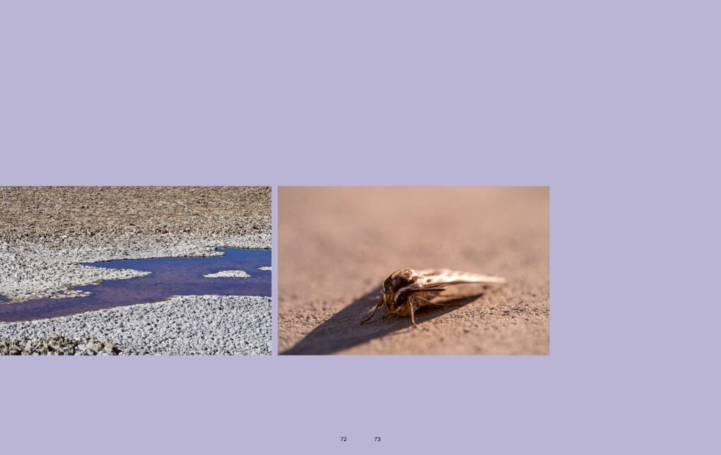 Weitere Ansicht: The Emphemeral Lake | Jakob Kudsk Steensen