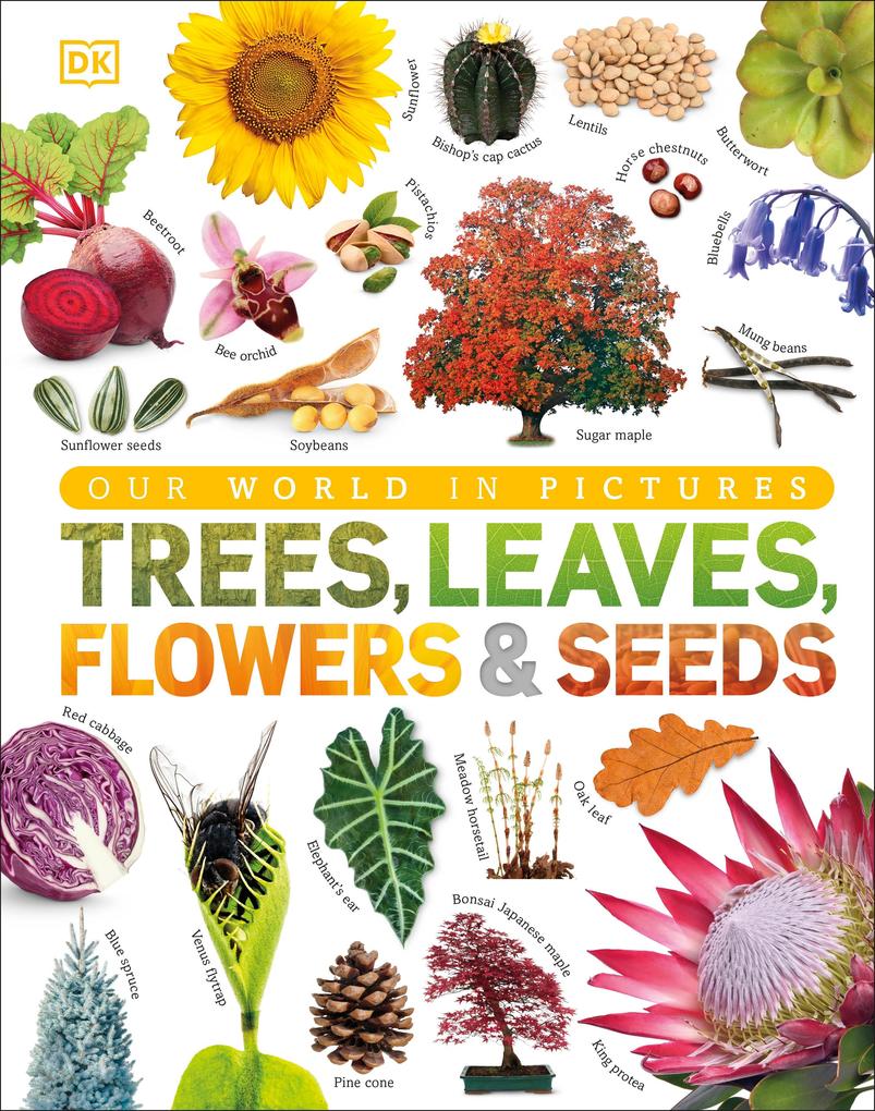 Produktbild: Trees, Leaves, Flowers & Seeds | Dk