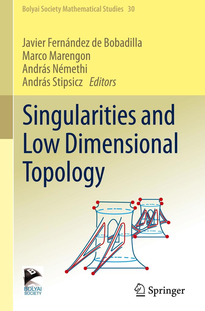 Produktbild: Singularities and Low Dimensional Topology