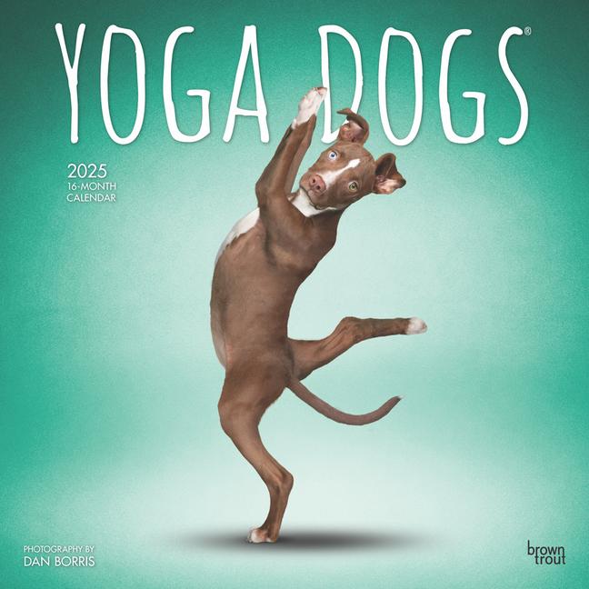 Produktbild: Yoga Dogs Official 2025 12 X 24 Inch Monthly Square Wall Calendar Plastic-Free | Browntrout