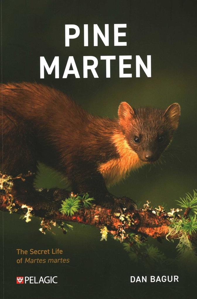 Produktbild: Pine Marten | Dan Bagur