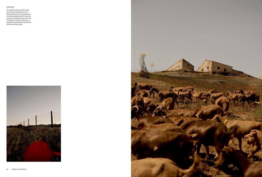 Weitere Ansicht: Kinfolk Journeys | John Burns