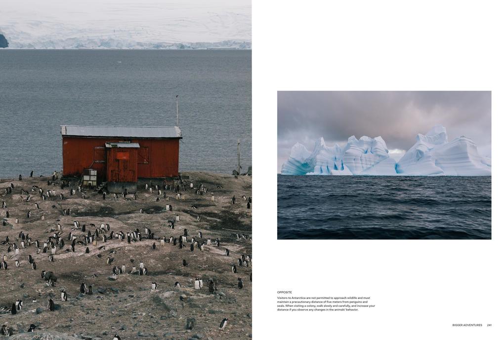 Weitere Ansicht: Kinfolk Journeys | John Burns