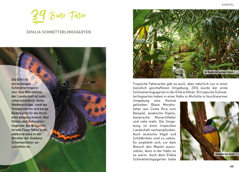 Weitere Ansicht: Eifel - HeimatMomente | André Uzulis