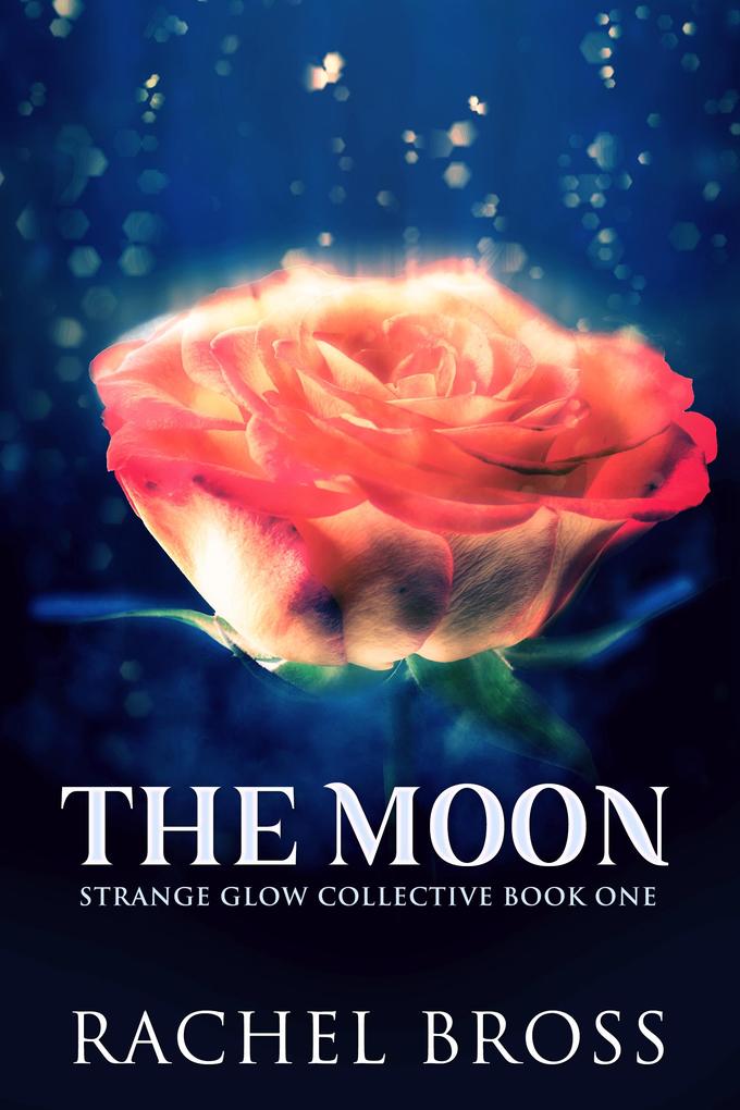 Produktbild: The Moon | Rachel Bross