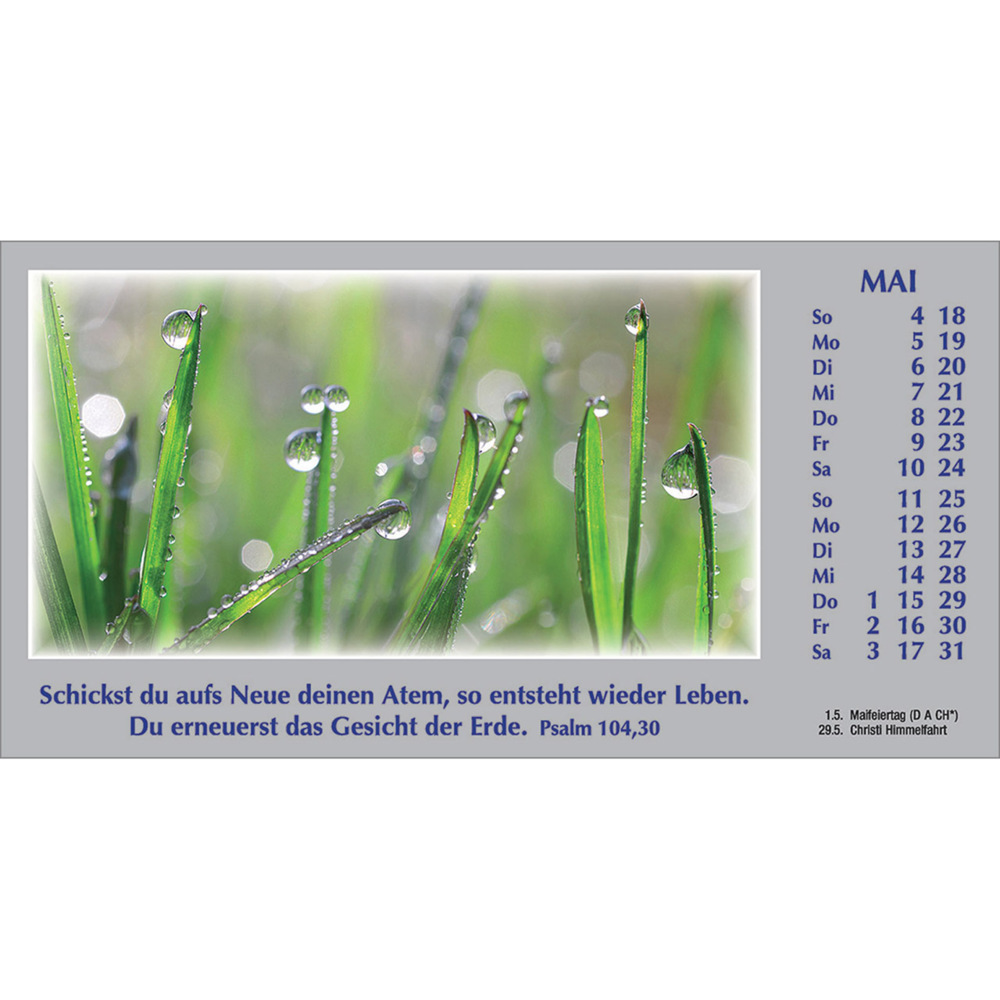 Weitere Ansicht: Wege zur Stille 2025