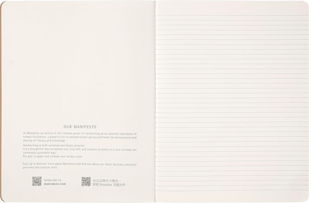 Weitere Ansicht: Moleskine Harry Potter Wingdarium Cahier, XL