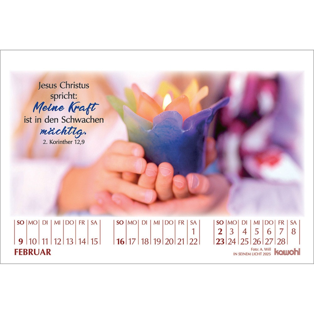 Weitere Ansicht: In seinem Licht 2025