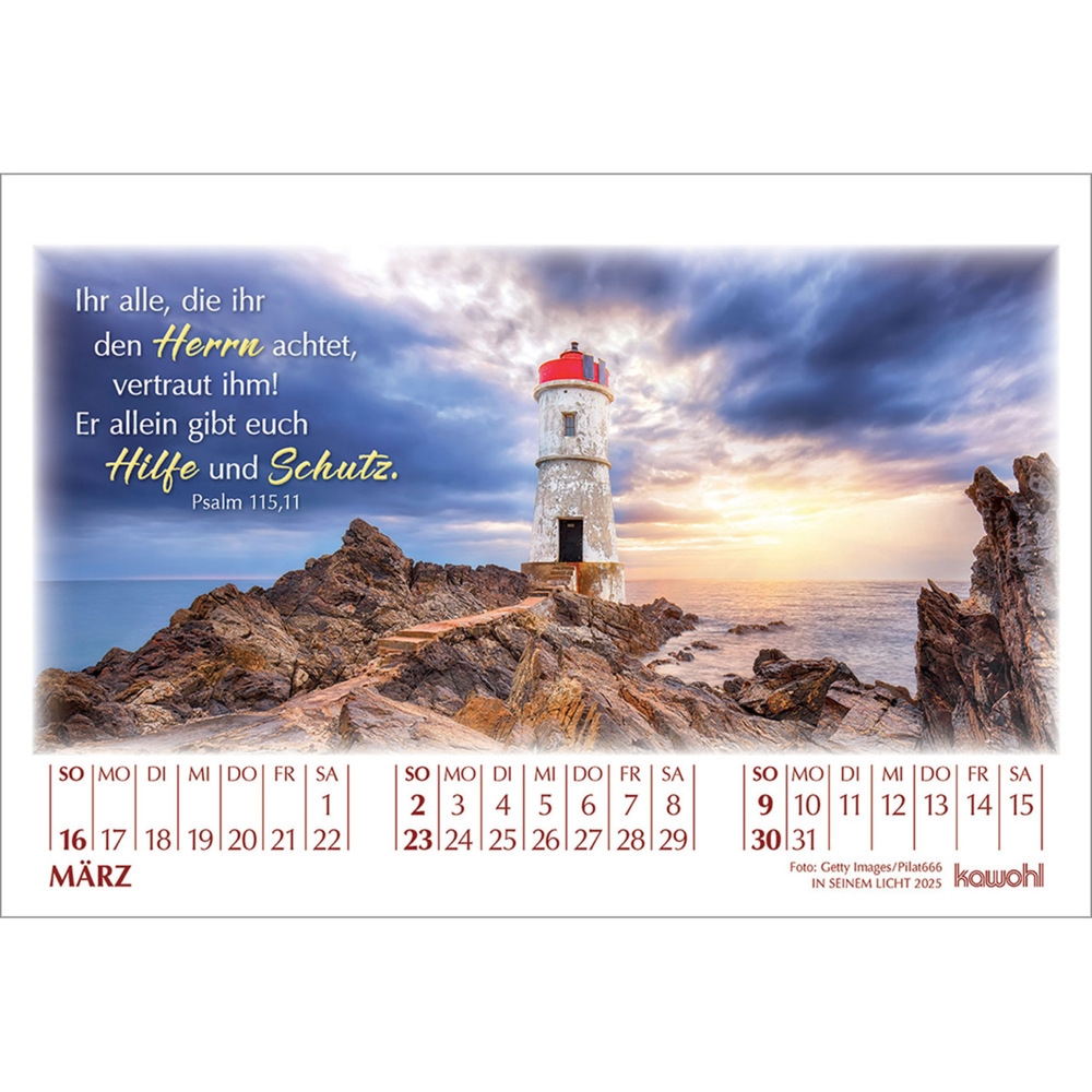 Weitere Ansicht: In seinem Licht 2025