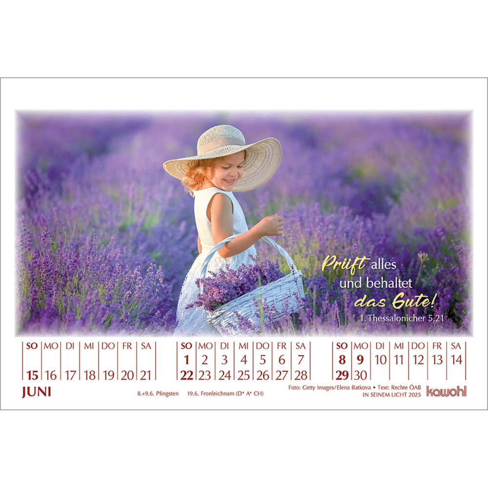 Weitere Ansicht: In seinem Licht 2025