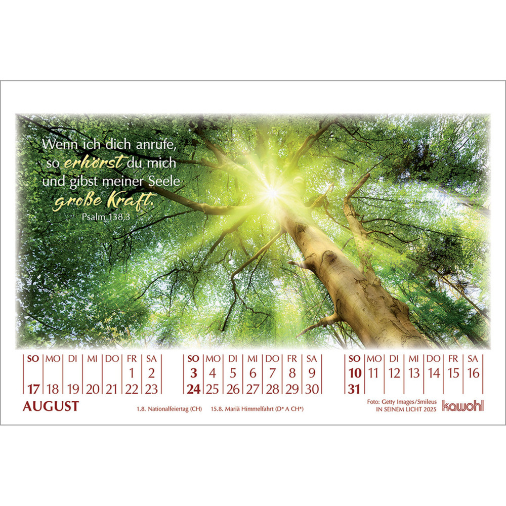 Weitere Ansicht: In seinem Licht 2025