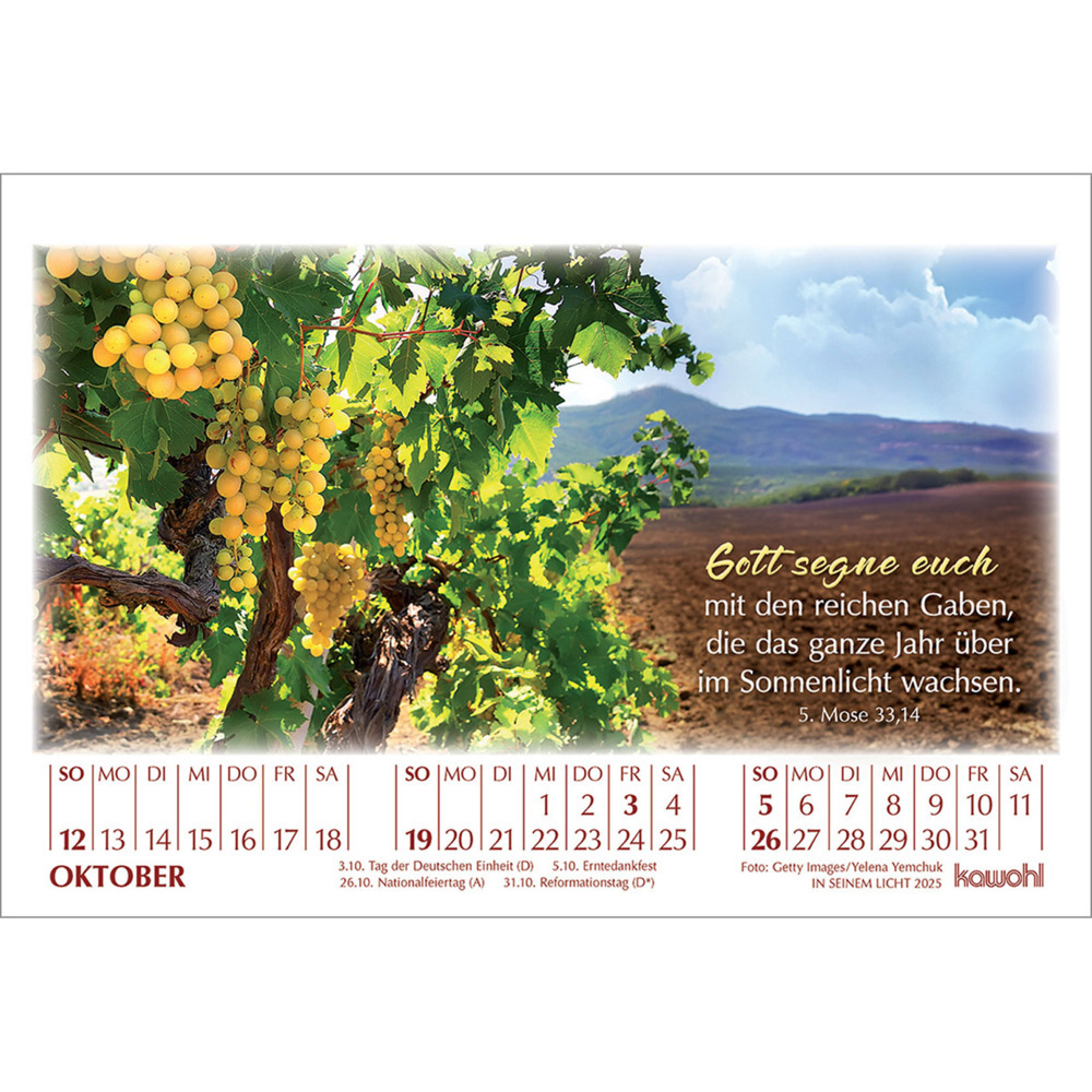 Weitere Ansicht: In seinem Licht 2025