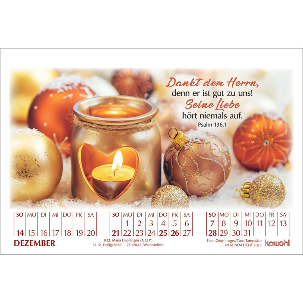 Weitere Ansicht: In seinem Licht 2025