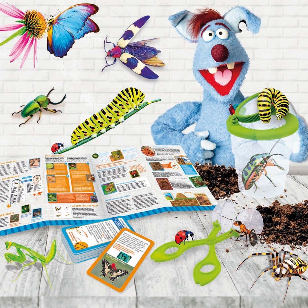 Weitere Ansicht: WOOZLE GOOZLE INSEKTEN