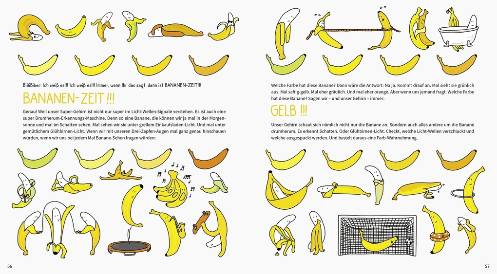 Weitere Ansicht: BiBiBiber hat da mal 'ne Frage. Welche Farben hat der Regenbogen? | Mai Thi Nguyen-Kim, Marie Meimberg