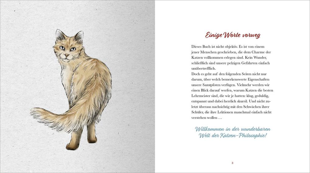 Weitere Ansicht: Kleine Katzenphilosophie | Astrid Göpfrich