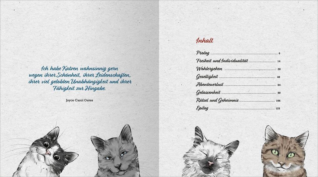 Weitere Ansicht: Kleine Katzenphilosophie | Astrid Göpfrich