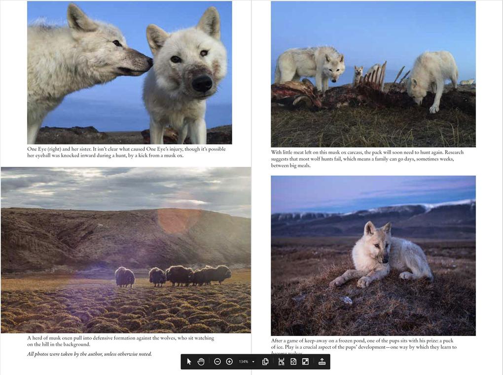 Weitere Ansicht: Frostlines | Neil Shea