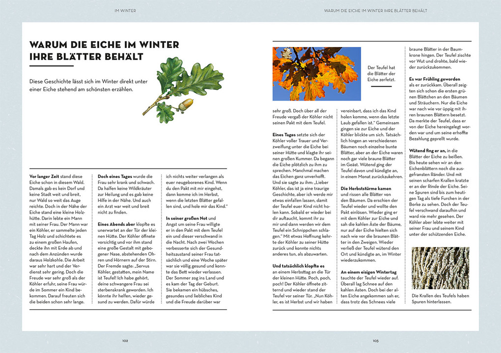 Weitere Ansicht: Waldglück | Rainer Schall